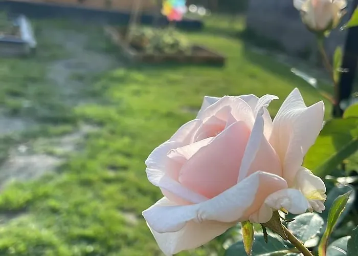 Steinblick -obinghof- Maishofen